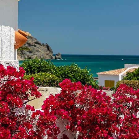 Lemon Tree Apartment Praia Da Luz Экстерьер фото